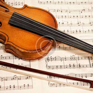 Violin